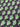 MAIZE